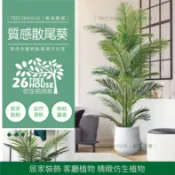 宅配免運費❤️散尾葵-大型仿真植物❤️北歐樹木 假綠色植物 假盆栽 客廳落地 室內龜背葉 散尾葵 仿真琴葉榕 旅人蕉