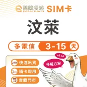 【鵝鵝漫遊】汶萊網卡 3~15天｜高速吃到飽 汶萊上網卡 汶萊網路卡 汶萊SIM卡 支援熱點分享 隨插即用 DSTCom