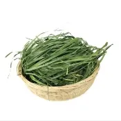 【萌寵鮮牧草】過篩 一割 二割 提摩西 成套搭配燕麥草苜蓿百慕達甜小麥草牧草粗細稈平衡成年兔子每日主食兼顧磨牙與消化吸收
