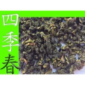 【揚茗茶業行】特級四季春青茶AA