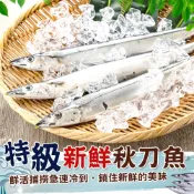 台灣特級新鮮秋刀魚【歐嘉嚴選】全家冷凍799免運 蝦幣10倍送 批發 餐廳