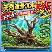 放風水族【天然造景沉木】350g以上 天然沉木 沉木造景 魚缸造景 水草缸 水族造景 流木 杜鵑根 魚缸裝飾 水族箱造景