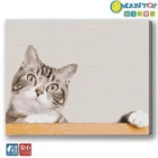 (店+)【Manto】안녕喵皇-台灣製DIY數字油畫 | 經典大尺寸40x50cm