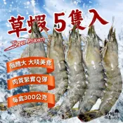 【好嬸水產】馬來西亞_活凍草蝦｜5隻｜約300克｜露營燒烤食材 肥虎蝦 草蝦批發 年菜必備 大蝦子 烤肉必備 火鍋配料