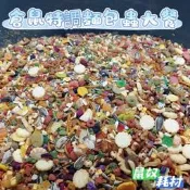 「鼠奴耗材」倉鼠特調花卉飼料 金絲熊飼料 黃金鼠糧食三線飼料 布丁鼠糧食 倉鼠飼料 寵物鼠飼料 老公婆鼠飼料倉鼠特調飼料