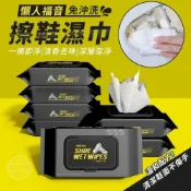 (店+)懶人福音 免沖洗 擦鞋濕巾 80抽/包 TC4