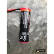 【加大】馬力歐電池 瑪利歐 馬力歐 遙控車 好市多 carrera 瑪利兄弟 火箭賽車 瑪莉歐 遙控車 3.2v 電池