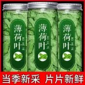 桃園倉庫~ 🎀爆款熱推健康養生✅熱賣✅薄荷葉幹可食用咀嚼泡水新鮮口嚼幹嚼薄荷茶罐裝博荷葉新鮮貨批發【寶貝】高品質