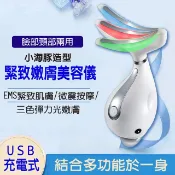 Panatec 沛莉緹  小海豚臉部頸部兩用緊致嫩膚美容儀 K-295