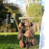 「熱銷推薦」雲森自野天然植物果殼手搖鈴手作種子果實溪水音療風鈴樂器禮物1