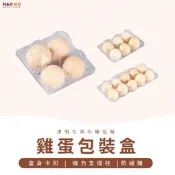 【台灣現貨+免運】塑膠雞蛋盒 雞蛋包裝盒 雞蛋盒 雞蛋收納盒 裝雞蛋盒子 一次性雞蛋盒 雞蛋盒子 裝雞蛋容器