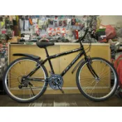 【冠鑫自行車】愛爾蘭 IRLAND 26吋 18速 登山車 通勤車 學生車 休閒/贈品/外勞/摸彩 高雄