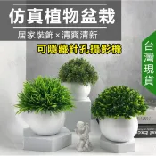 家護保｜仿真植物盆栽 假花假樹假盆栽 K9W針孔偷拍偽裝道具 整人玩具 魔術玩具 隨機出貨