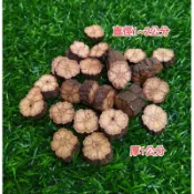 迷你、菊花木、原木切片、紋路漂亮