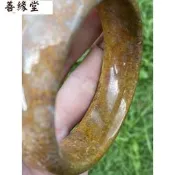 FOSSIL ��55.4mm 嘉年華��菊花化石手鐲��~善緣堂