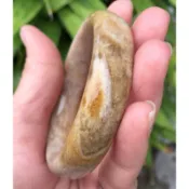 17.5圍54mm全透 隱型花，天然珊瑚玉 菊花玉 發財玉手環手鐲