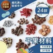 (店+)【織心手作】干果材料 聖誕乾燥材料 綜合果實材料 裝飾 乾燥果實標本 聖誕藤圈材料 聖誕果實裝飾 聖誕花材 花圈花材 松果