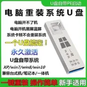 電腦重裝系統U盤一鍵裝機win7旗艦版W10專業版XP啟動優盤純凈正版