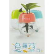 魚舞草行 迷你鬥魚缸 辦公室療癒小品 魚草共生 迷你生態缸 鬥魚缸 迷你魚缸 魚缸 魚菜共生 婷婷百貨 金金水族
