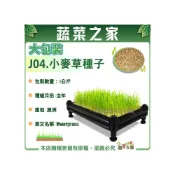 (店+)【蔬菜之家】00J04小麥草種子1公斤1000克裝小麥草汁 長成攪汁飲用含有營養豐富貓咪兔子也可食用的貓