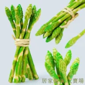 滿299出貨 假水果模型 假水果 仿真水果 假蔬果 假蔬菜 仿真蘆筍假蔬菜青筍春筍龍須菜水果模型裝飾道具教具兒童玩具擺件