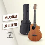 aNueNue M2 Newborn Bird 36吋 旅行吉他 小吉他  桃花心木 鳥吉他 附原廠袋【黃石樂器】