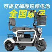 【限時特惠--廠家直銷】 電動三輪車迷你家用接送孩子小型女士親子帶娃老年代步寵物電瓶車