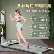 平板跑步機 電動走步機 家用小型 靜音 健身器材 減肥 新款成人可折疊