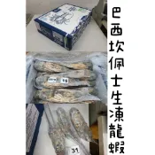 【鮮味】(佳)(批發專區)巴西生凍龍蝦 箱/10公斤
