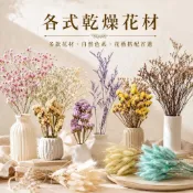 台灣現貨【乾燥花材】乾燥花材, 滿天星, 兔尾草, 棉花, 星辰花, 卡斯比亞, 花藝材料, 手作材料, 相框花, 花束
