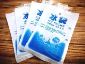 200ml 食品保鮮飲料保冰退熱 冰袋 保冷劑/保冰劑/保冰包/保冰袋/冰墊/消暑/拍賣內有冰涼巾 冰涼毛巾 袖套
