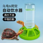 ✨臺灣出貨✨烏龜水盆食盆自動飲水器喝水盤半水龜黃緣陸龜蘆丁雞爬寵爬蟲喂水寵物食盒 喂食器 爬行動物食盒 食盆 喂食盆