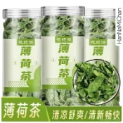 HanNaMiChan 薄荷葉薄荷茶幹薄荷茶食用泡水新鮮烘培清涼罐裝調酒