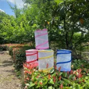 墨韵書香 驚爆價 臺灣熱銷 🌼蝴蝶籠 昆蟲飼養籠 蚱蜢 加密野採工具 折疊伸縮 便攜 小孩戶外觀察籠 昆蟲飼養籠 昆蟲網籠 飼養