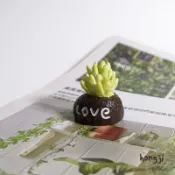 仿真多肉 微景觀 多肉微景觀 Q170 love 空氣鳳梨 diy材料 多肉 迷你盆栽 苔蘚 結婚擺飾 仙人掌 雜貨