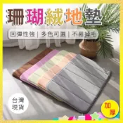 【台灣出貨】加厚版珊瑚絨地毯 地墊 踏墊 浴室防滑腳墊 吸水地墊 寵物地墊 鐵籠地墊 寵物睡墊 珊瑚絨地墊