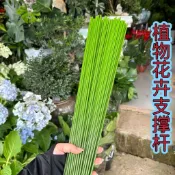 【臺灣熱賣】蝴蝶蘭金錢樹支撐杆藝園花架花卉植物防倒扶爬藤架花包塑鐵絲固定《優選》【BH】