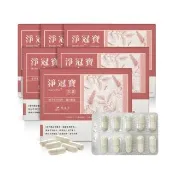 【SPOTLESS 植靠淨】淨冠寶膠囊6入組(共120粒/魚腥草配方/含有紫蘇葉.薄荷葉/草本配方)