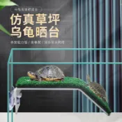 ✨臺灣出貨✨巴西烏龜曬臺草皮草坪爬臺爬蟲爬梯爬坡曬背臺大號飼養盒休息平臺FWU