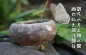 天然珊瑚玉手鐲 菊花石 圈口mm