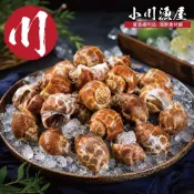 嚴選活凍鳳螺1包(500g+-10%/包)【赤豪家庭私廚】