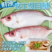 嚴選野生紅目鰱2包共12尾(每包6尾/約500g±10%)