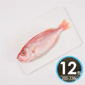 華得水產 東港紅目鰱魚12尾組(200-220g/尾/去鰓去肚)