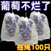 限時下殺⚡防蟲袋 水果套袋 防鳥 防蟲 透氣 防蟲網 專用網袋 葡萄 無花果 枇杷 草莓 楊桃 保護袋子自帶單側抽繩葡萄