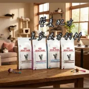 🚚箱購 法國皇家飼料 貓腎臟病強化RSF26 /水解低敏配方AN24 / 腸胃道配方GI32 / 低卡路里控制GIM35