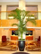 【東南旅遊】紐約 聖卡洛斯飯店 San Carlos Hotel