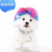 ⭐可開發票+免運🔥蔡徐坤假髮 中分假髮坤坤貓咪衣服cos 爆炸頭 辮子狗狗貓咪頭飾🏆破萬好評回購款