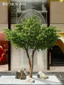協貿國際日用品生活6館 美空雙桿仿真福祿桐樹大型落地金錢樹元寶樹室內假樹綠植擺件裝飾