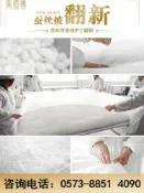 全球選品1館 生活百貨 蠶絲被翻新 舊被改造 桑蠶絲被清洗 蠶絲棉修復 被芯改造 居家被褥整理