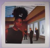 《二手美版黑膠》M People - Bizarre Fruit